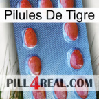 Tiger Pills 06